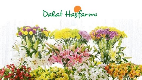 Dalat Hasfarm - Crescent Residence 3